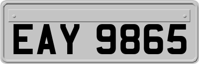 EAY9865