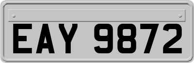EAY9872