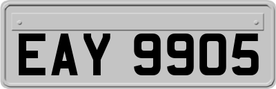 EAY9905