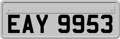 EAY9953
