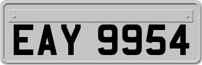 EAY9954