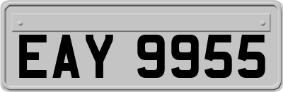 EAY9955