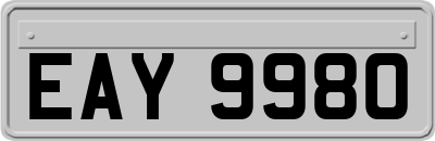 EAY9980