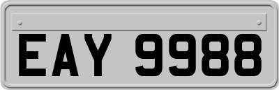 EAY9988