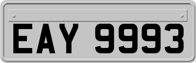 EAY9993