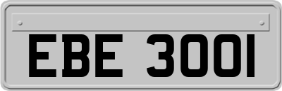 EBE3001