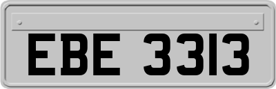 EBE3313