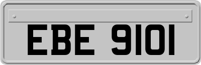 EBE9101