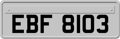 EBF8103