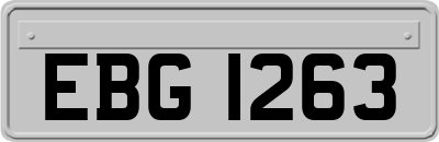 EBG1263
