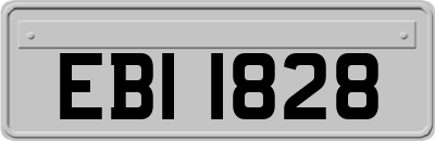 EBI1828