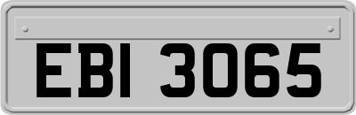 EBI3065