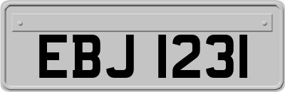 EBJ1231