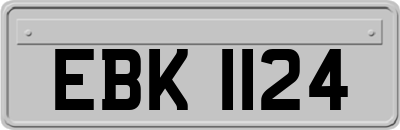 EBK1124