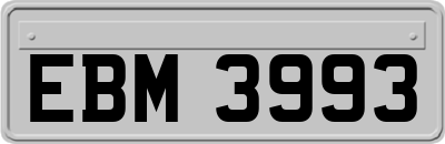 EBM3993