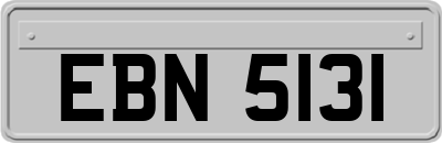 EBN5131