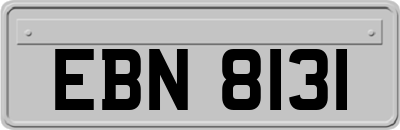 EBN8131