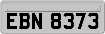 EBN8373