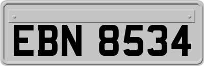EBN8534