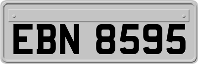 EBN8595