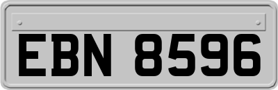 EBN8596