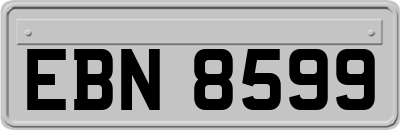 EBN8599