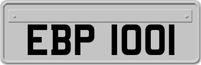 EBP1001