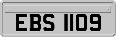 EBS1109