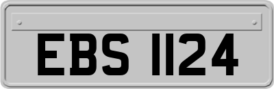 EBS1124