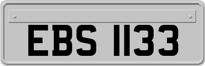 EBS1133