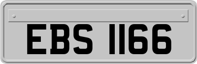 EBS1166