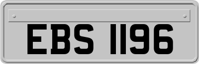 EBS1196