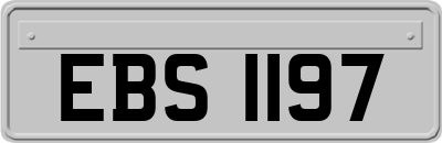 EBS1197