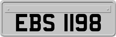 EBS1198