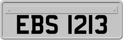 EBS1213