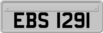 EBS1291