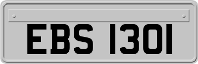 EBS1301