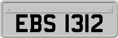EBS1312