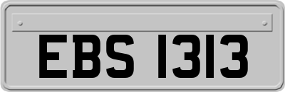 EBS1313