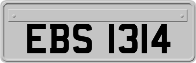 EBS1314