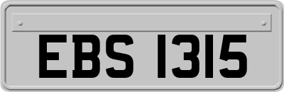 EBS1315