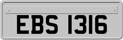 EBS1316