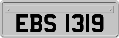 EBS1319