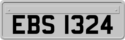 EBS1324