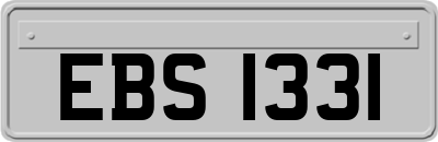 EBS1331