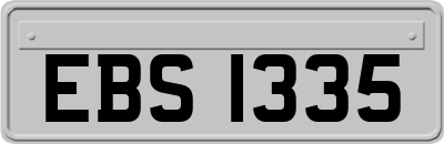 EBS1335