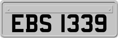 EBS1339