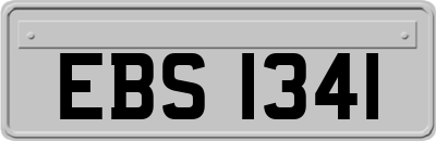 EBS1341