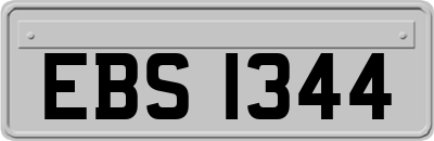 EBS1344