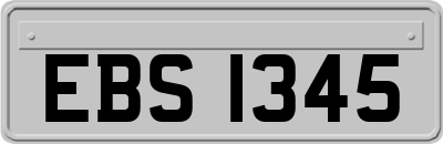 EBS1345